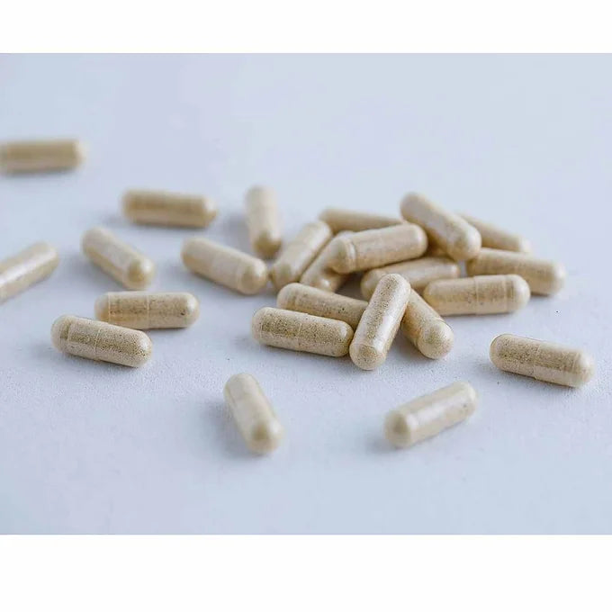 Kanazawa Suppondo Namako Supplement