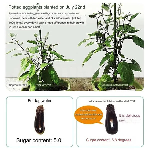 GT-S Plant Vitalizer 250 ml/500ml/1L