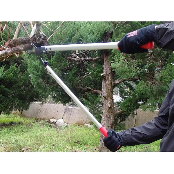 ARS LPB-30L Orchard Lopper (30")