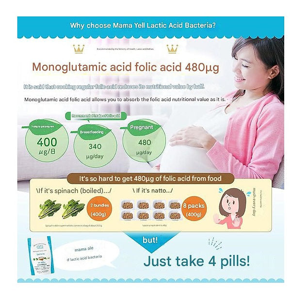 Mamael Lactic Acid Bacteria, Folic Acid, Highly Formulated 480 μg for Pregnant