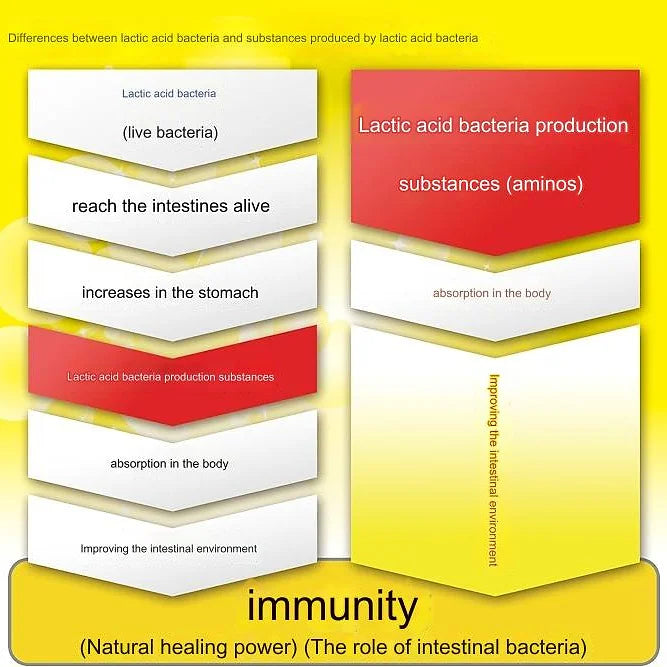 TAURUS Aminos Lactic Acid Bacteria For Dogs & Cats
