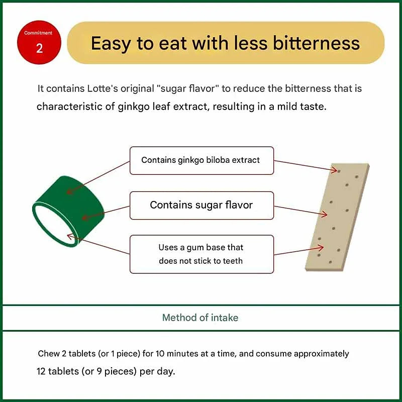 LOTTE Memory Keeping Gums – Ginkgo Biloba Extract, Mint Flavor – Set of 10 Packs
